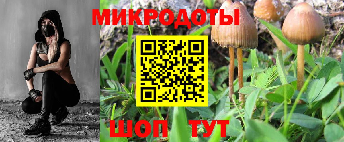Элиста  Галлюциногенные грибы MAGIC MUSHROOMS  Псилоцибиновые грибы MAGIC MUSHROOMS  Вход с VPN 