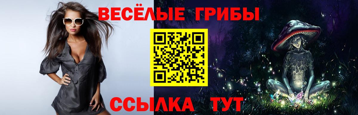 Псилоцибиновые грибы Magic Shrooms Элиста